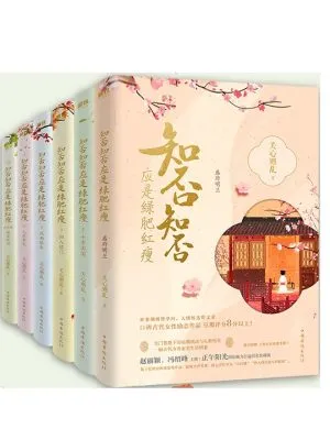 知否知否应是绿肥红瘦全集（全六卷）