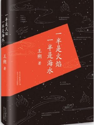 一半是火焰 一半是海水（王朔作品）