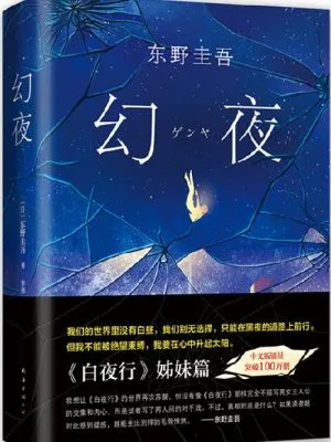 幻夜（《白夜行》姊妹篇，中文简体百万册纪念版）