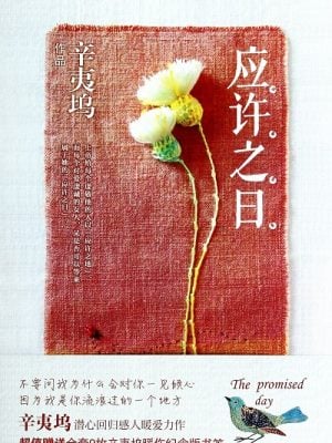 应许之日（辛夷坞小说）