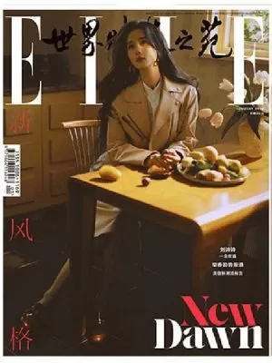 ELLE世界时装之苑（2022年过刊任意3本打包，投递1次）